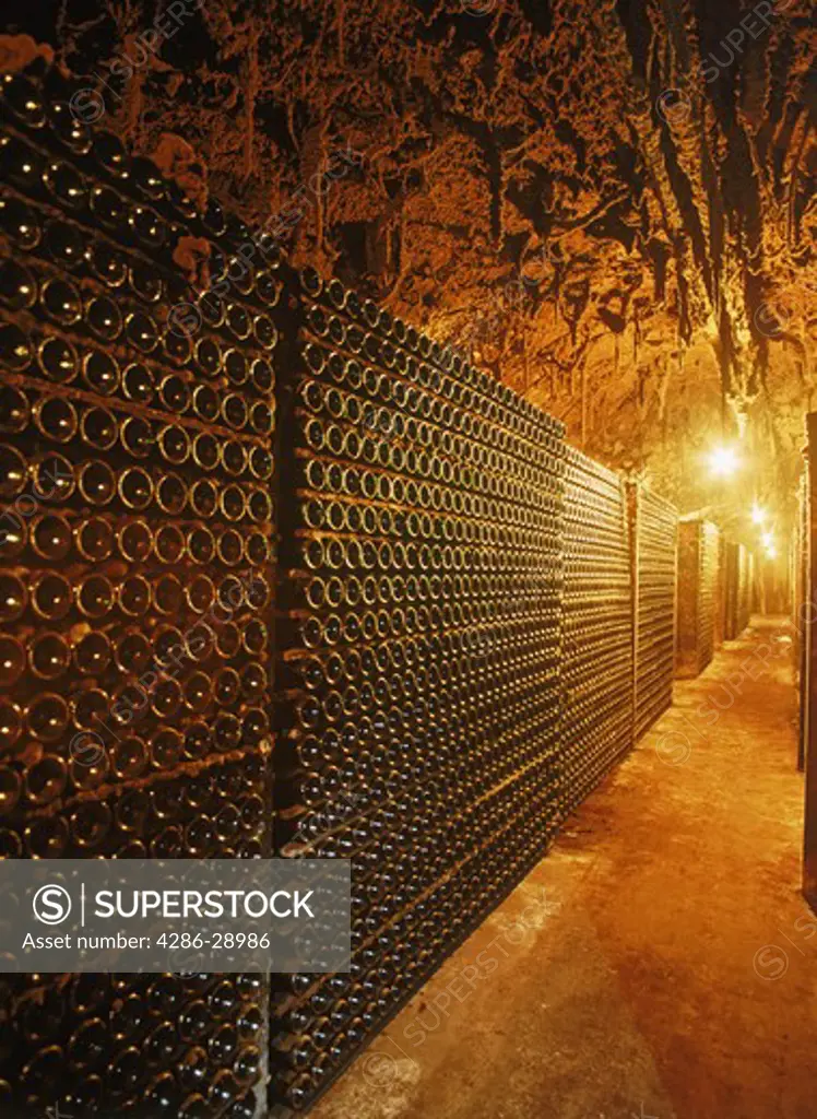 Bottles of ageing wine at Cune Bodega in Rioja region of Spain