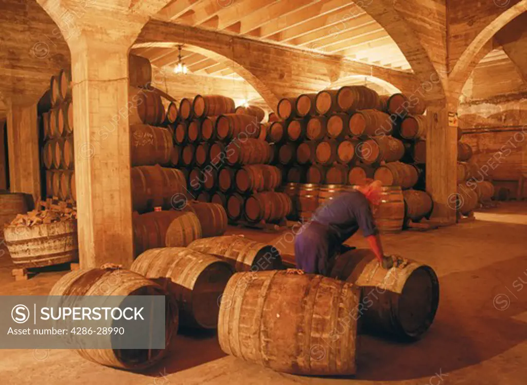 Wine casks at Cune Wine Cellars or Bodega in Rioja provence of Spain