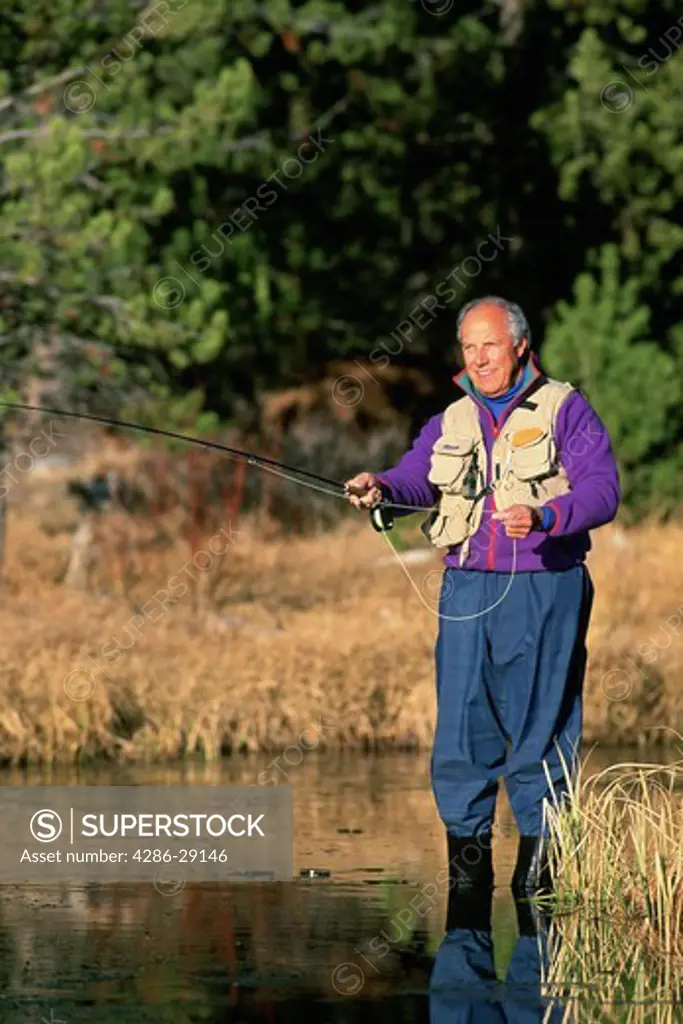 A senior man stands in ankle-deep water as he fly-fishes on a sunny day.