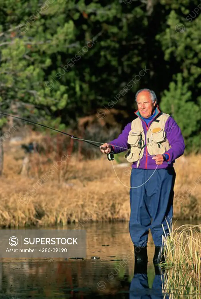 A senior man stands in ankle-deep water as he fly-fishes on a sunny day.