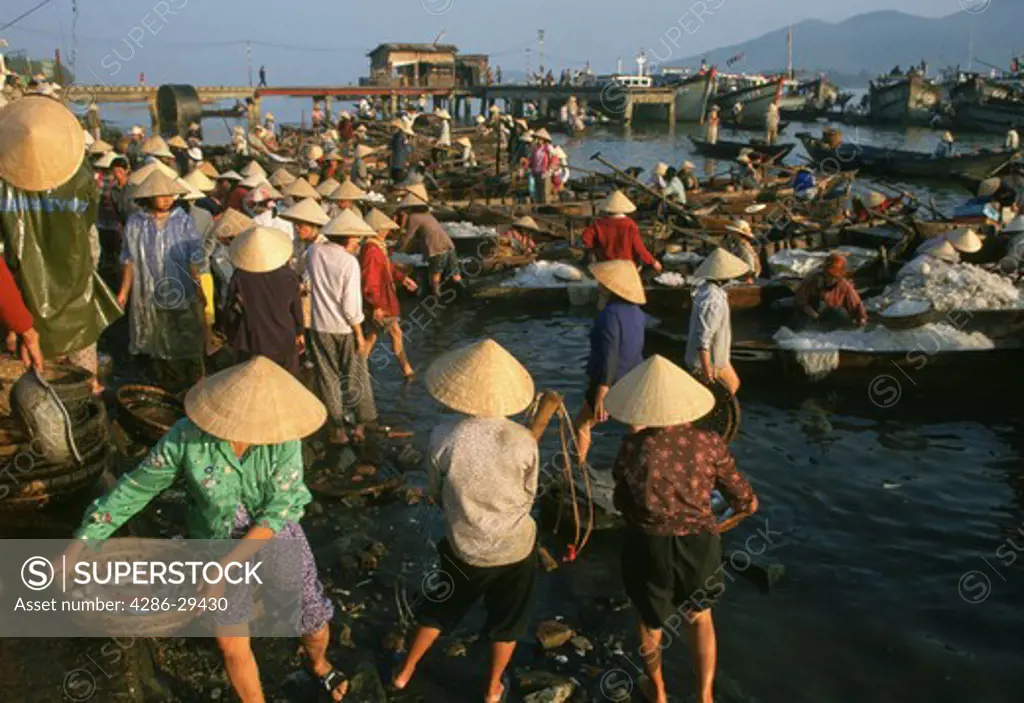 Morning fish market, Danang, Vietnam