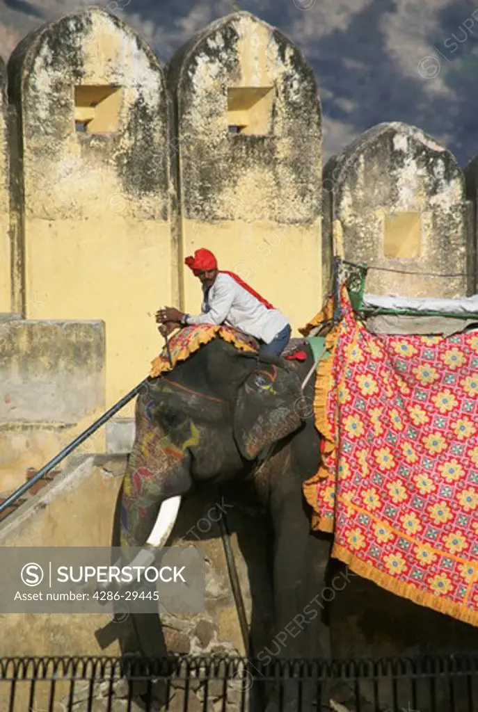 Elephant taxi, Jaipur, India