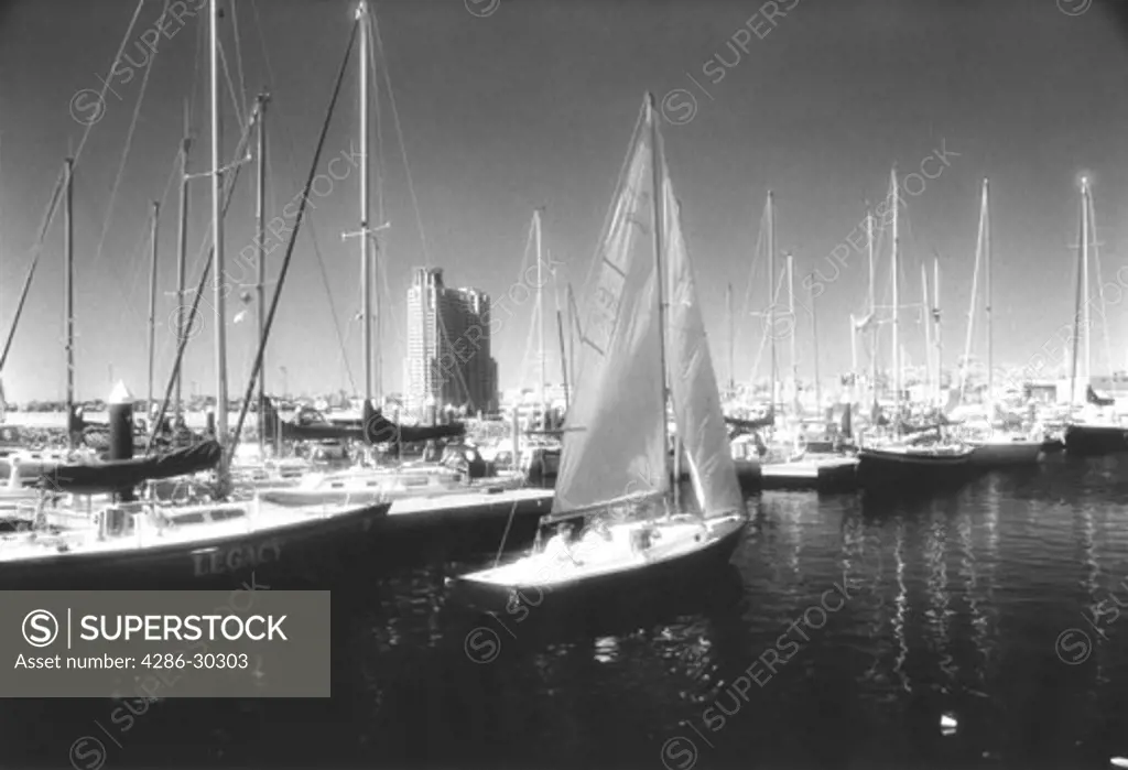 Boats in marina, Inner Harbor, Baltimore, Maryland.