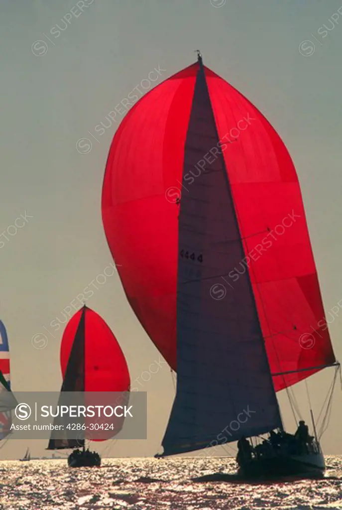 Sailboats with spinnaker set.