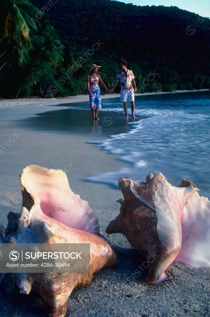 Couple walking along the beach with two conch shells in foreground.
