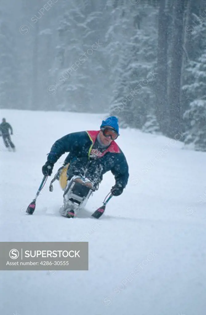 Handicapped skier on a mono-ski skiing downhill during snowy day.
