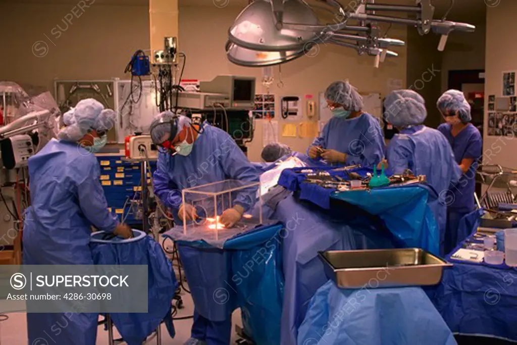 Neurologist shapes a piece of bone in plexiglass box. Anterior cervical fusion surgery.