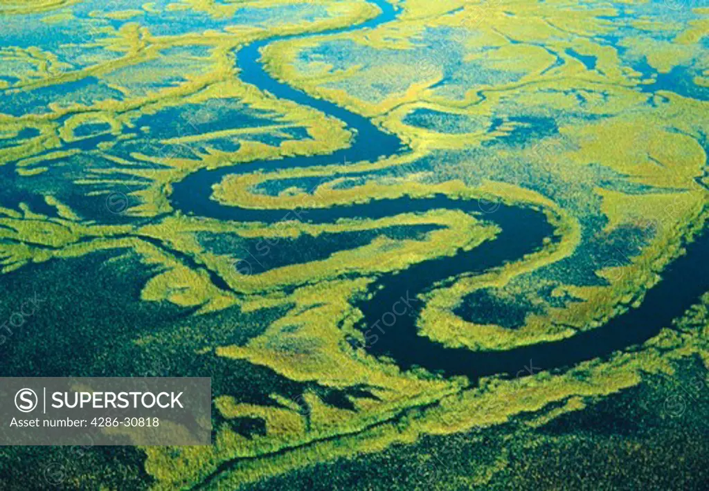 Aerial of salt marsh with green grasses and winding waterways, Georgia.