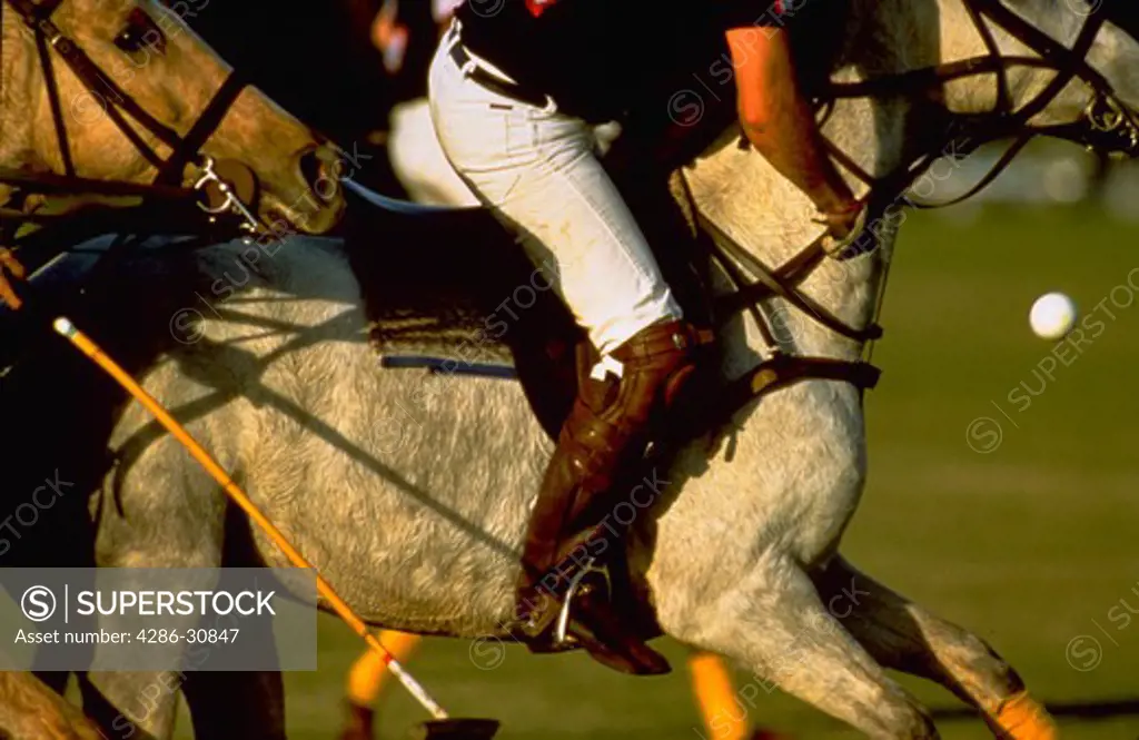 Polo player riding horse while hitting ball during polo game.