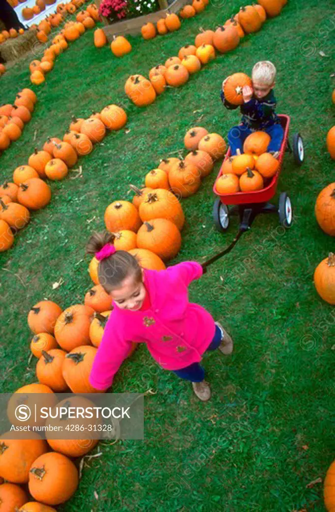 Young girl pulling a wagon through a pumpkin patch with pumpkins and her young brother sitting in the wagon.