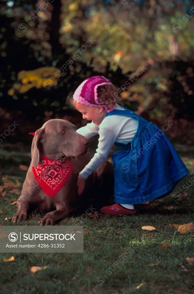 A little girl wearing a denim dress with a bandana in her hair is leaning over to pet a grey dog (Weimaraner) that is lying in the grass outside.