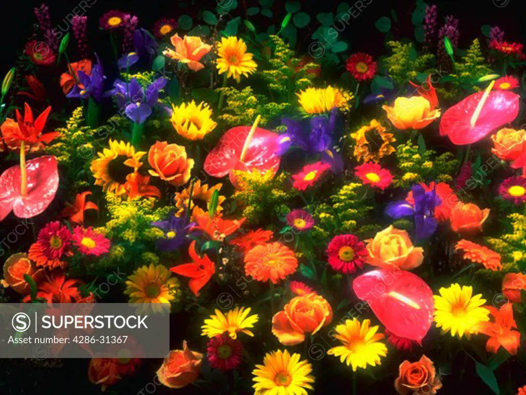 Still life of a large array of colorful flowers and greenery.