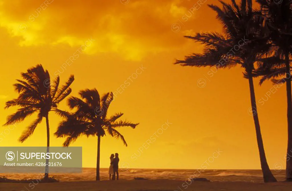 Long shot of a silhouetted couple embracing on a beach among several palm trees.