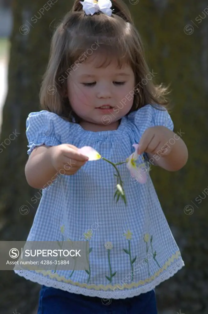 Close-up of a 2 year old girl holding a flower in her hands. 