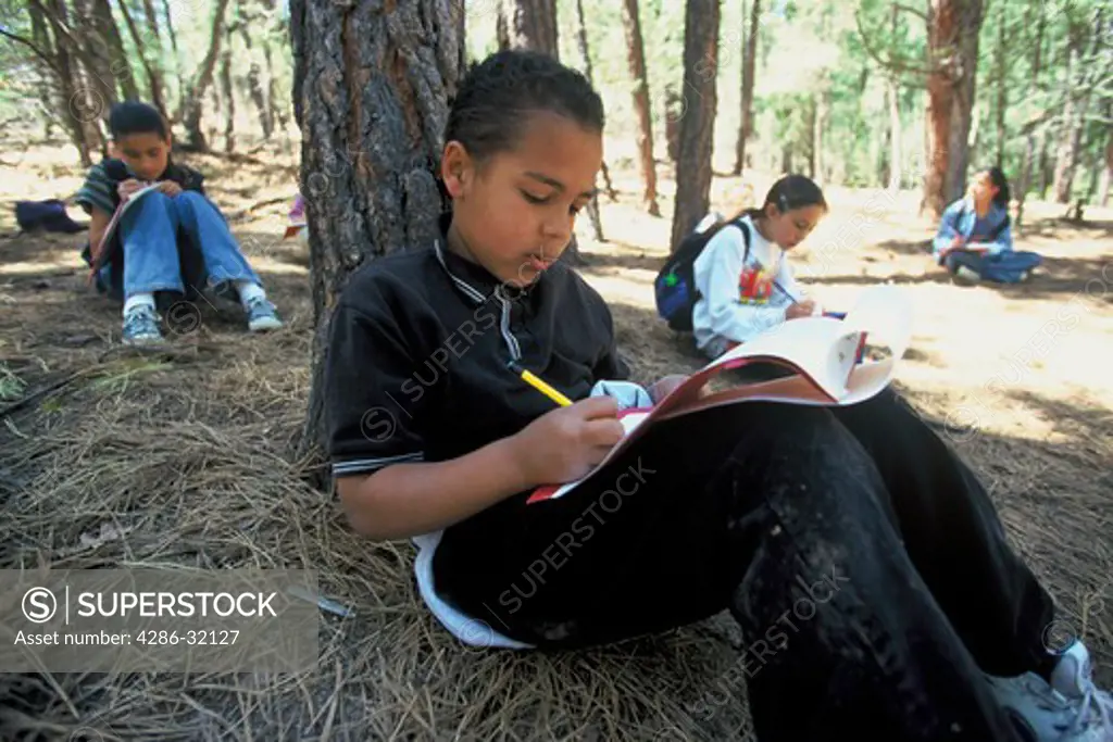 Fifth grade students sitting underneath trees in an outdoor educational setting in the Sandia Mountains. 