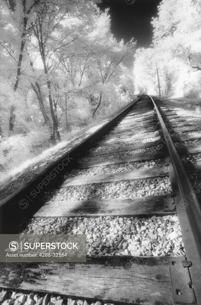 Abandoned railroad tracks pass through forest, Cuyahoga Valley National Park, OH. Photo taken with infrared film.