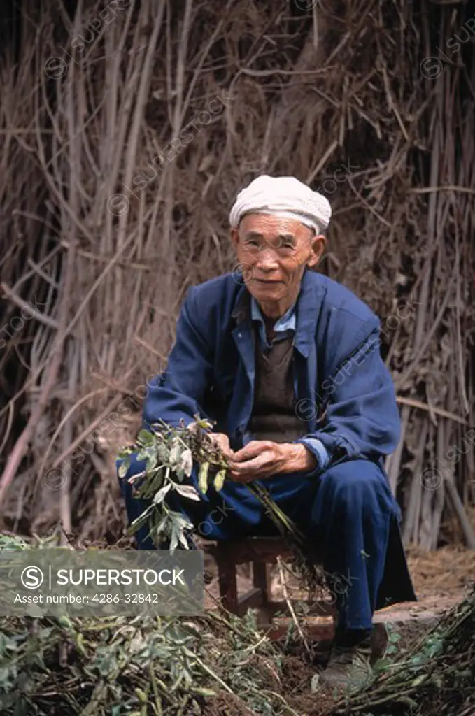 A Ba culture senior man cleans pod vegetables in rural China near Zhongxian