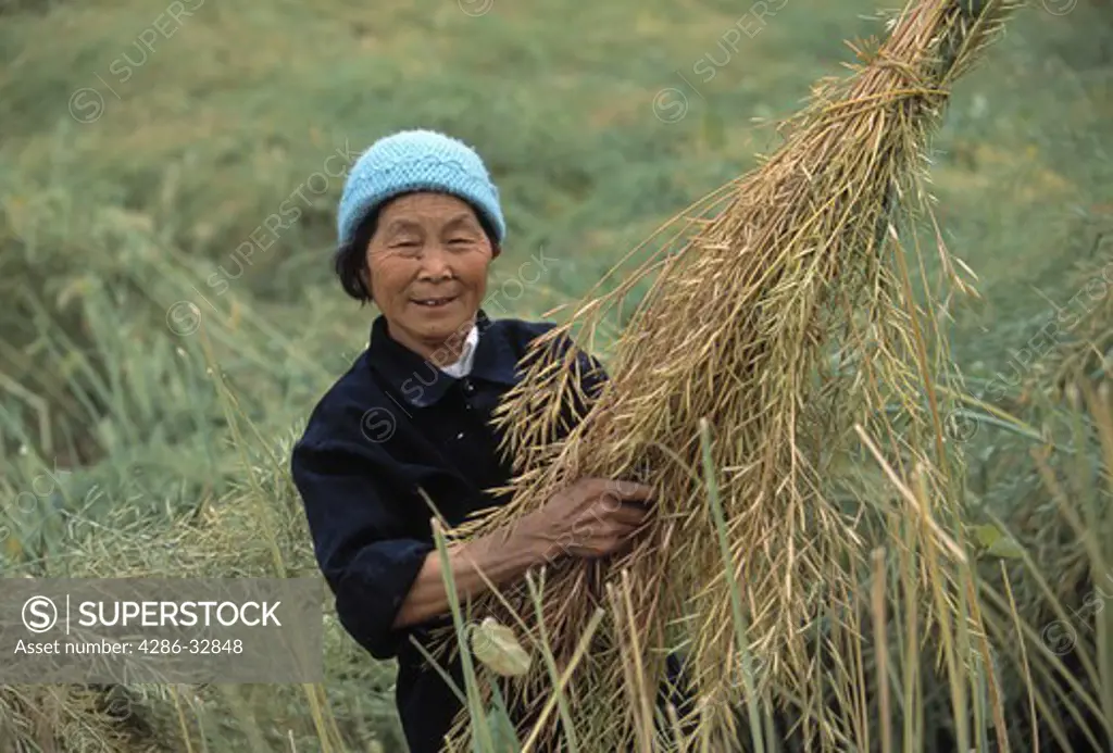 A Ba farmer holds canola plants for harvest near Wanxian China