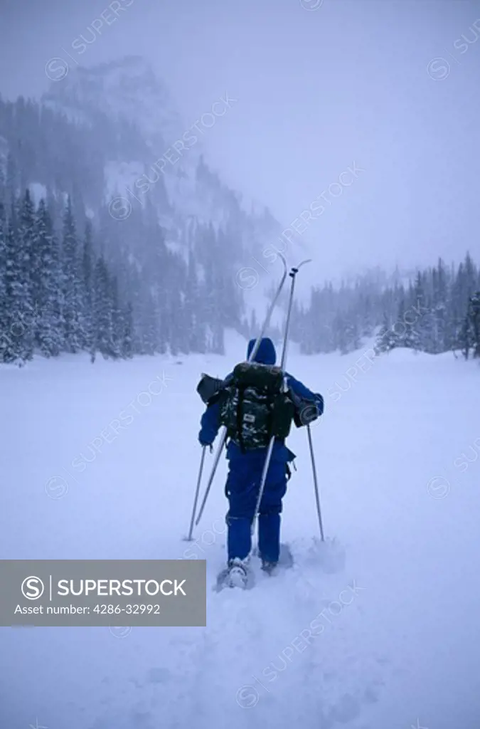 A man snowshoeing in the backcountry during a winter storm, Rocky Mtn Nat'l Park, CO