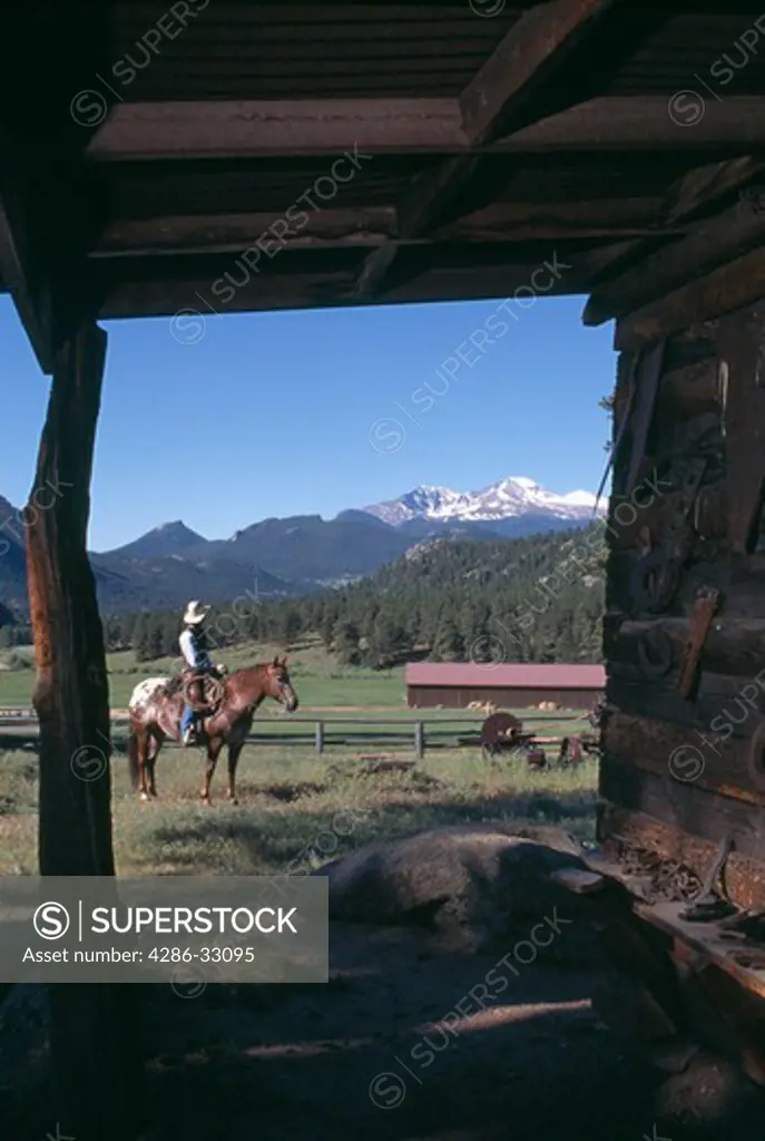 Cowboy saddled up in the corral, MacGregor Ranch, Estes Park, CO