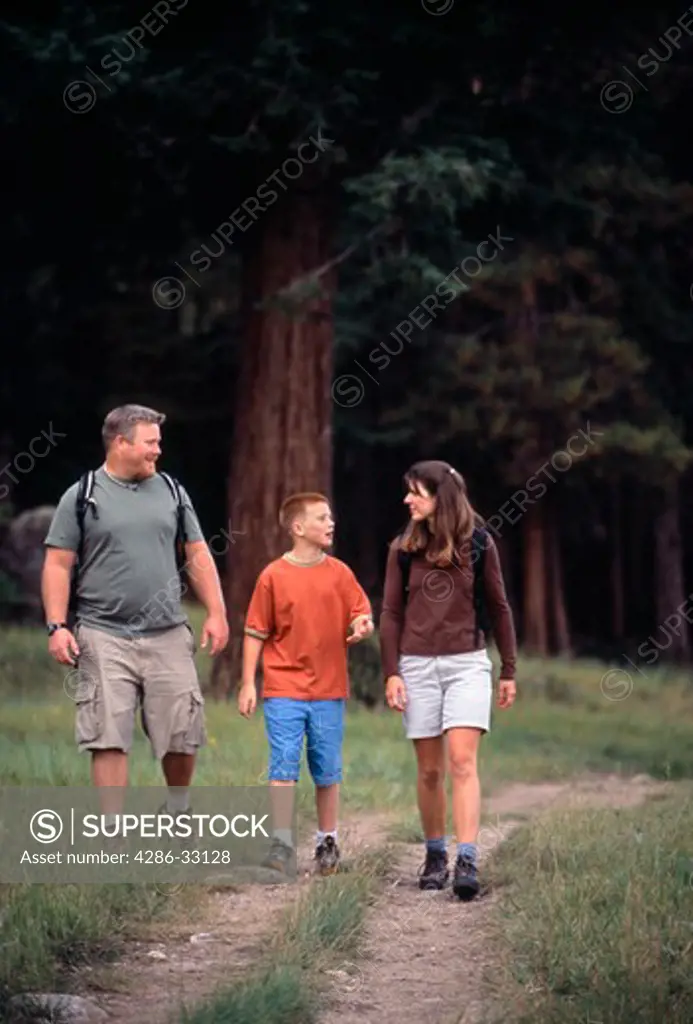 A family of three hiking along the forest's edge in Rocky Mtn Nat'l Park, CO