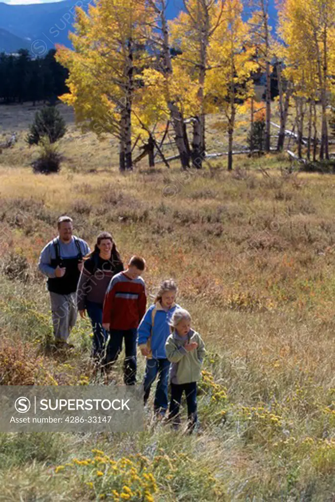 A family of five hiking on a meadow trail in single file during fall in Rocky Mtn Nat'l Park, CO.