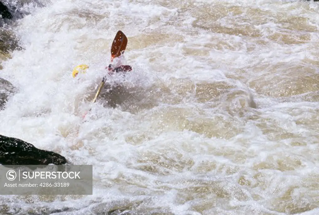 Kayaker submerged by white water in the Cache la Poudre River, Larimer County, CO