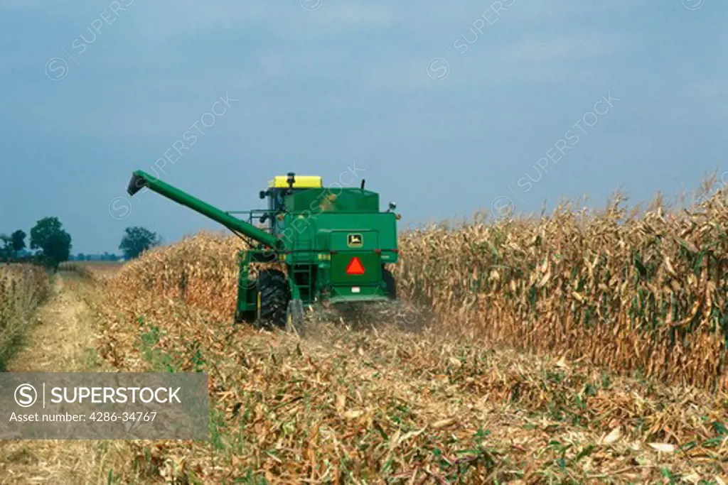 Harvesting corn, Clinton County, Ohio.