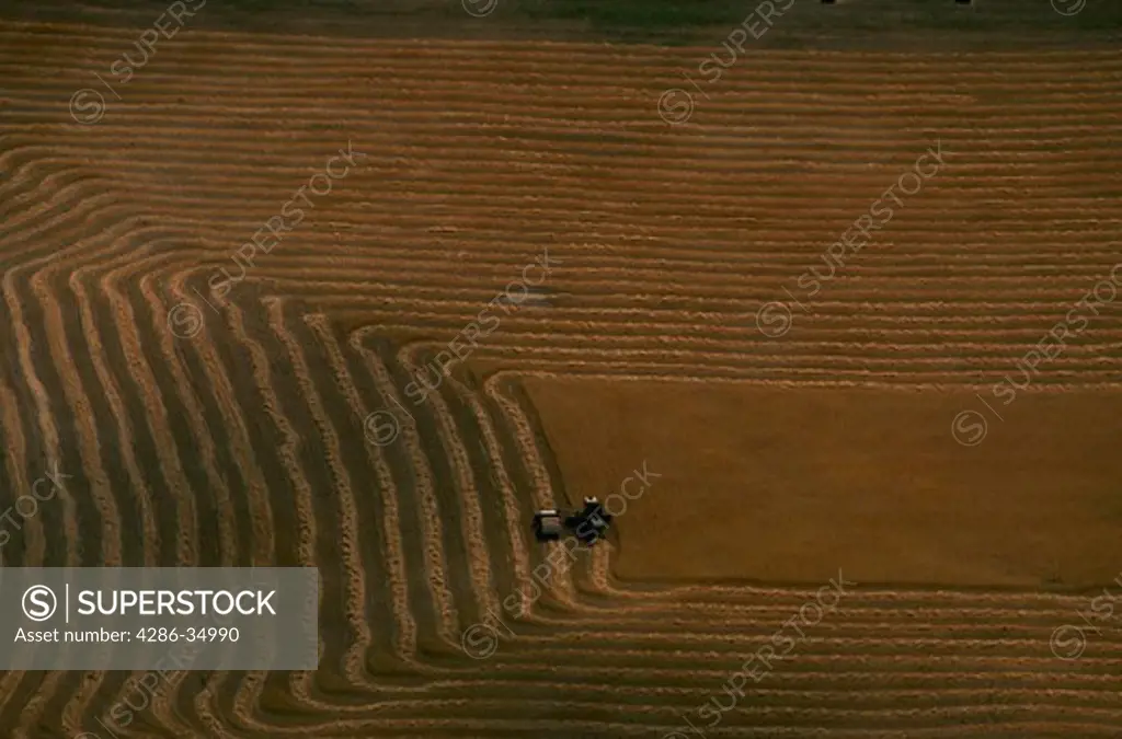 Aerial photo of custom combines harvesting wheat, Wyoming.
