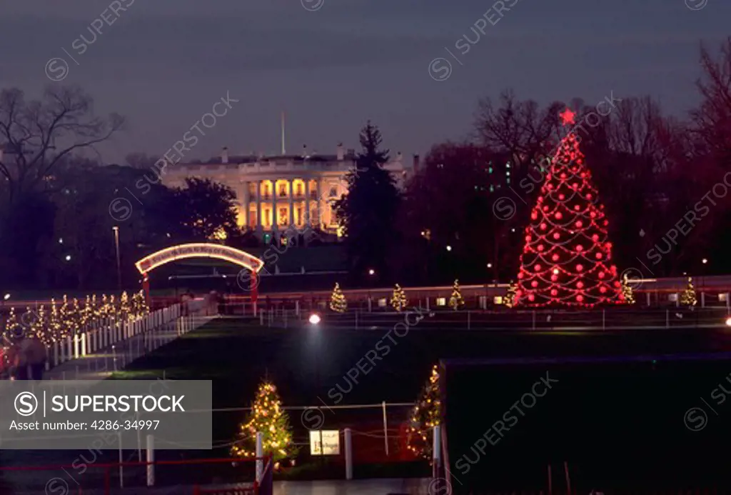 National Christmas Tree with White House in the background in Washington, DC.-CF1514