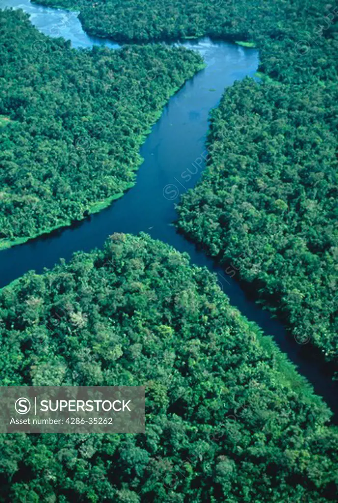 Amazon estuary region