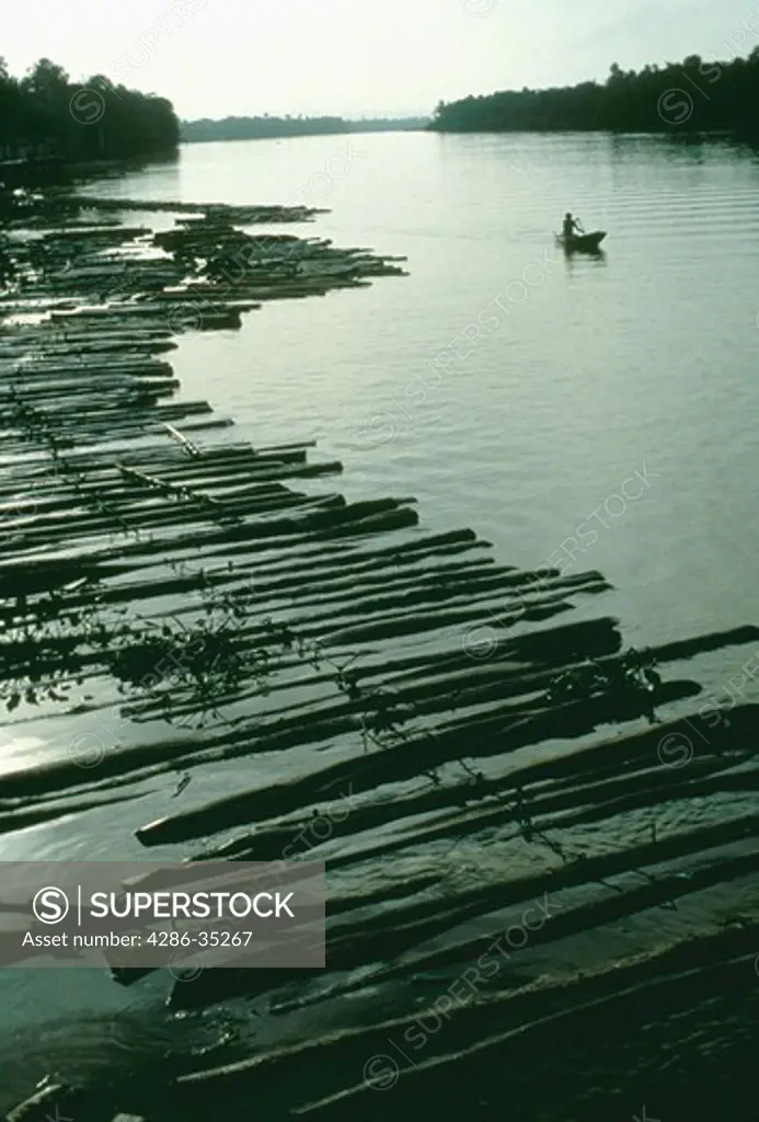 Marajo Island: raft of logs near sawmill