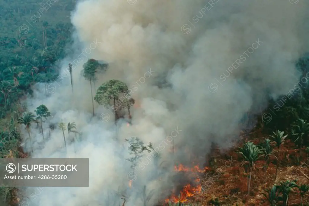 Aerial view of the rainforest in Brazil being burned to clear land for cattle ranching.