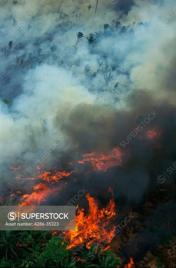Aerial of rainforest being burned to clear land for cattle ranching, Brazil, Para, Amazon region.