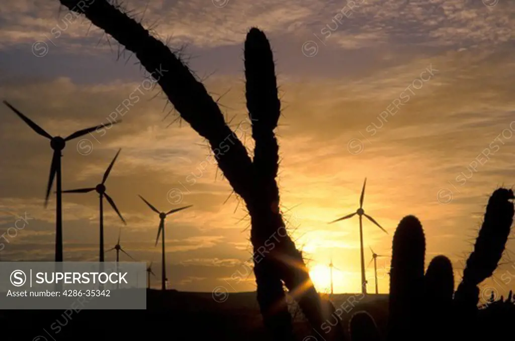 Eolian energy: biggest wind farm (10 MW) in South America using German technology at Prainha de Aquiraz near Fortaleza, Ceara, Brazil.