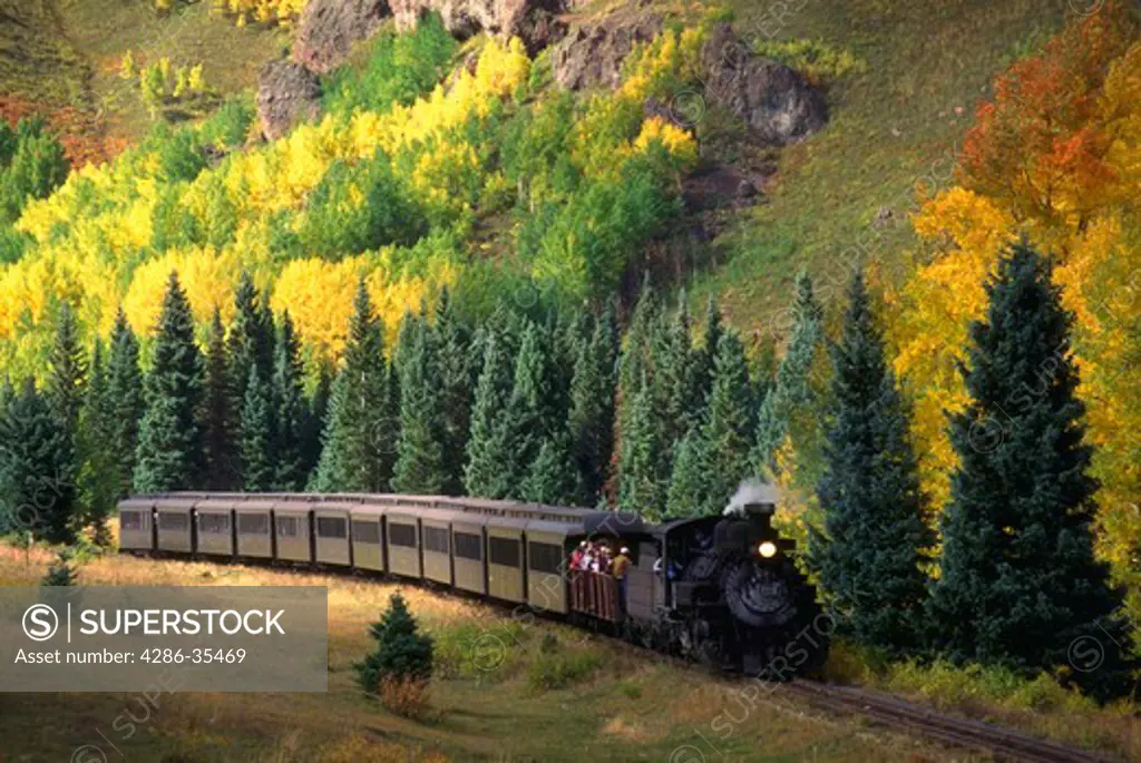 Cumbres and Toltec Scenic Railroad train traveling through Aspen trees in the fall, Coxo area, Colorado.