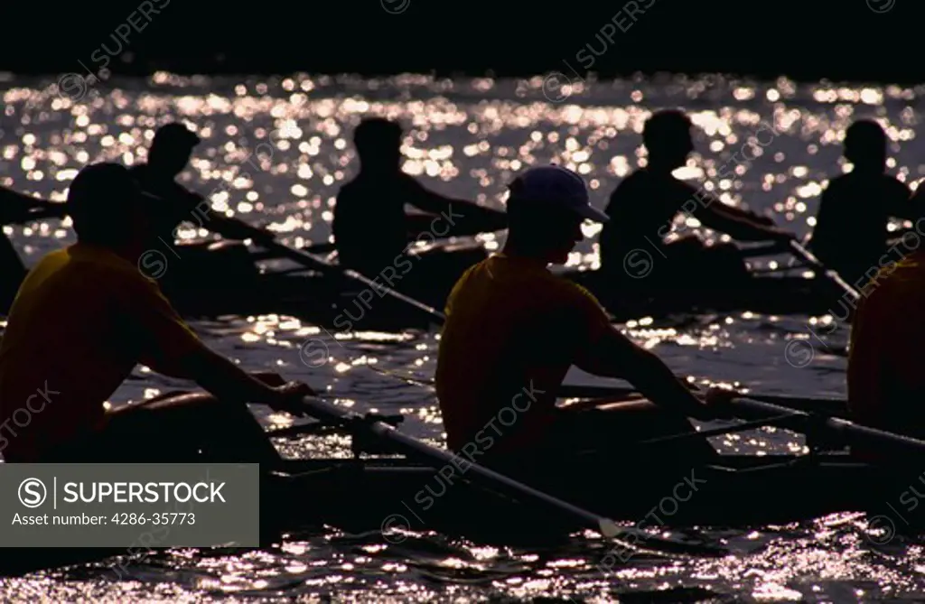 Two men's rowing teams, taken near the end of a race.  Backlit, high contrast lighting.  Taken on the Potomac River.  Large rowing file available. (Sports. Concept. People.)