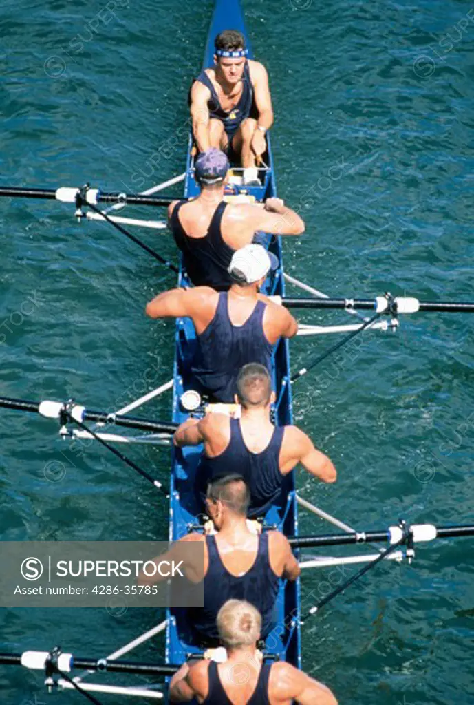 Men's crew team, rowing in a competition.  In team uniforms.  Taken on the Potomac River.  Large rowing file available. (Sports. Concept. Teamwork. Winning. People.)