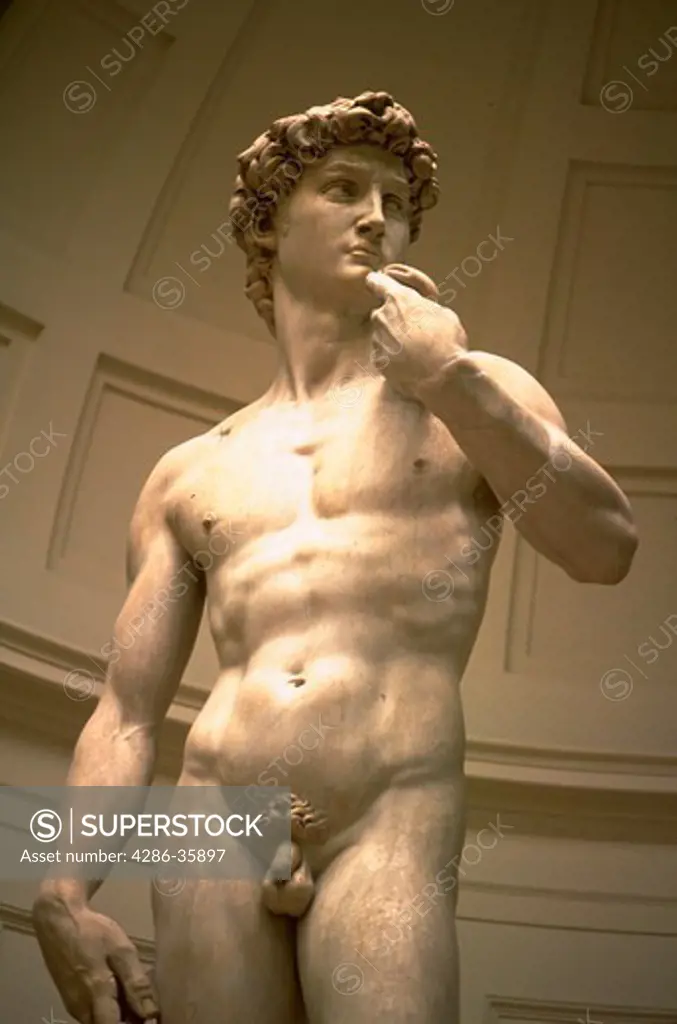 Statue of Michelangelos David, Florence, Italy.