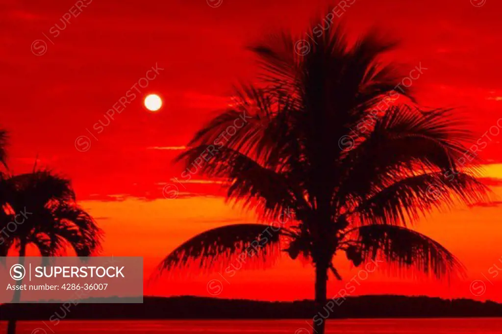 Full moon at sunrise, Key West, FL