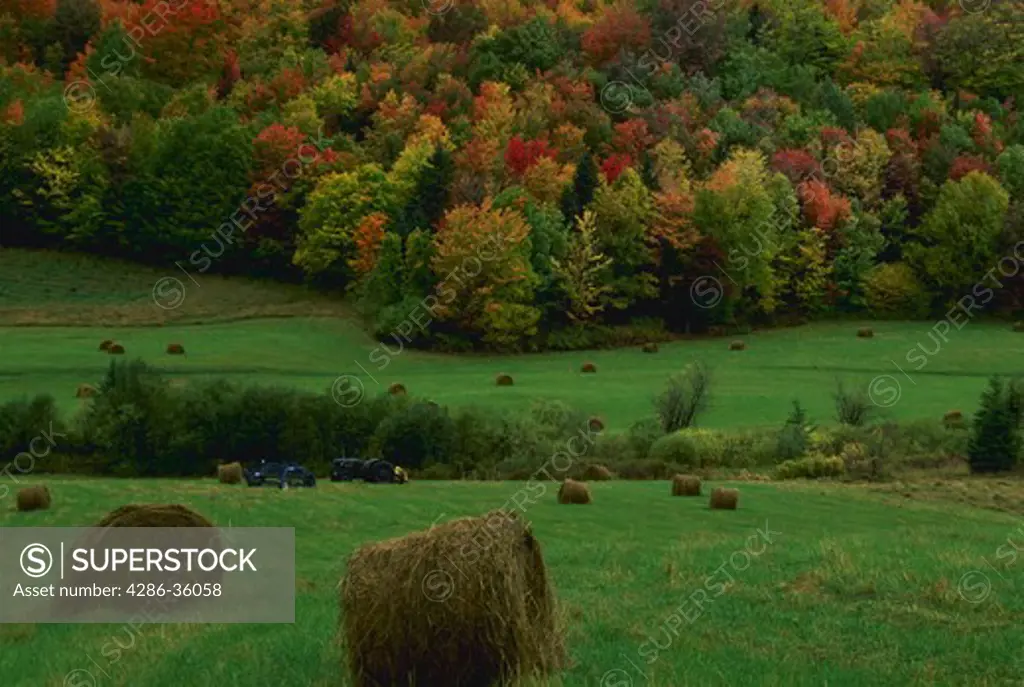 Farmland with bales of hay and forest with fall colors, New Hampshire.