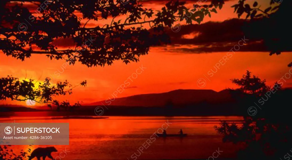 Silhouette of bear walking along beach at sunrise with people in canoe on lake.