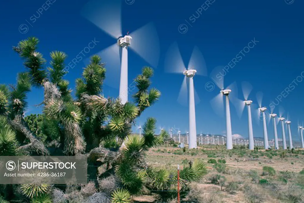A multitude of wind turbines taken in Mojave, California. 
