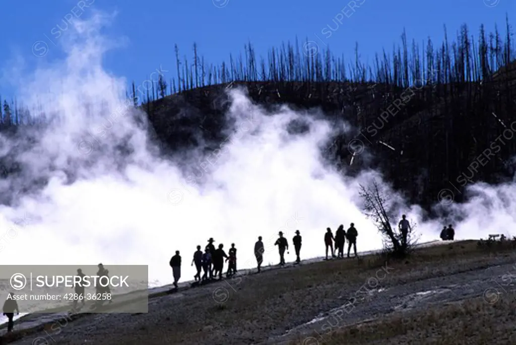 Tourists are silhouetted against the steam from a geothermal area in Yellowstone National Park, Wyoming. Devastation from a forest fire can be seen in the background.