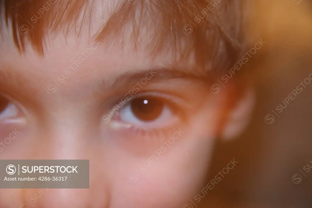 Close-up of a young boys big brown eyes. 