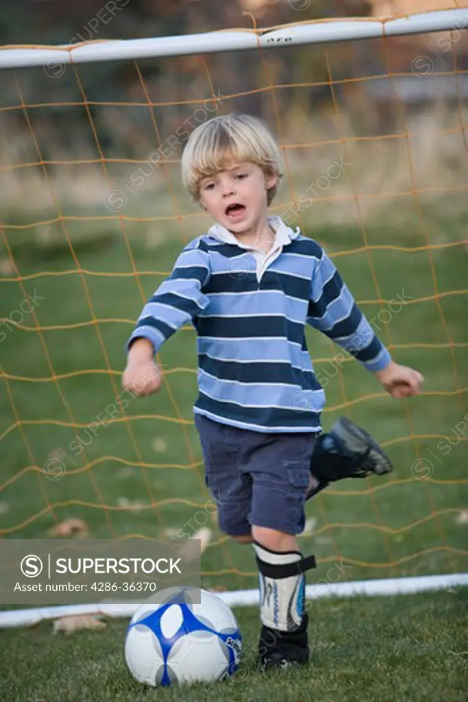 Little blond boy retracting his leg getting ready to kick a soccer ball in front of the goal. 