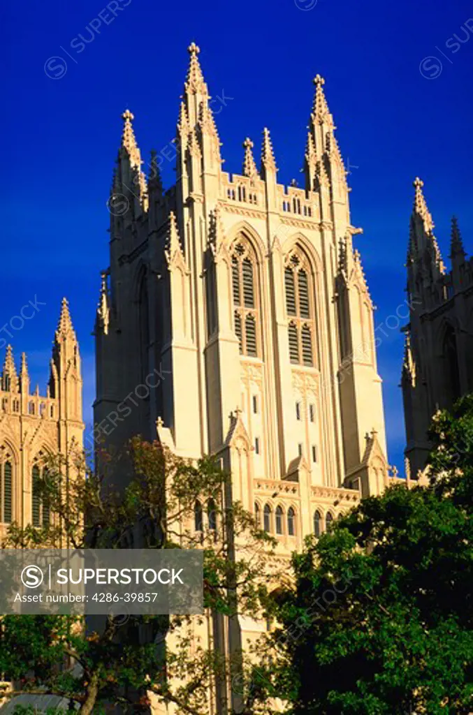 The National Cathedral, Washington, DC