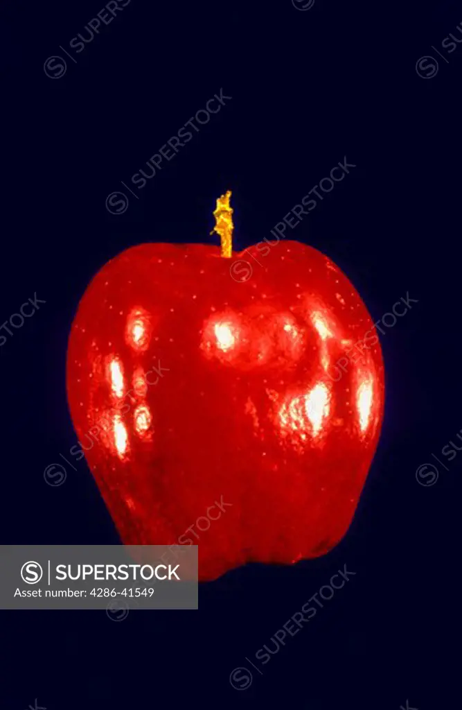 Red apple on a blue background.