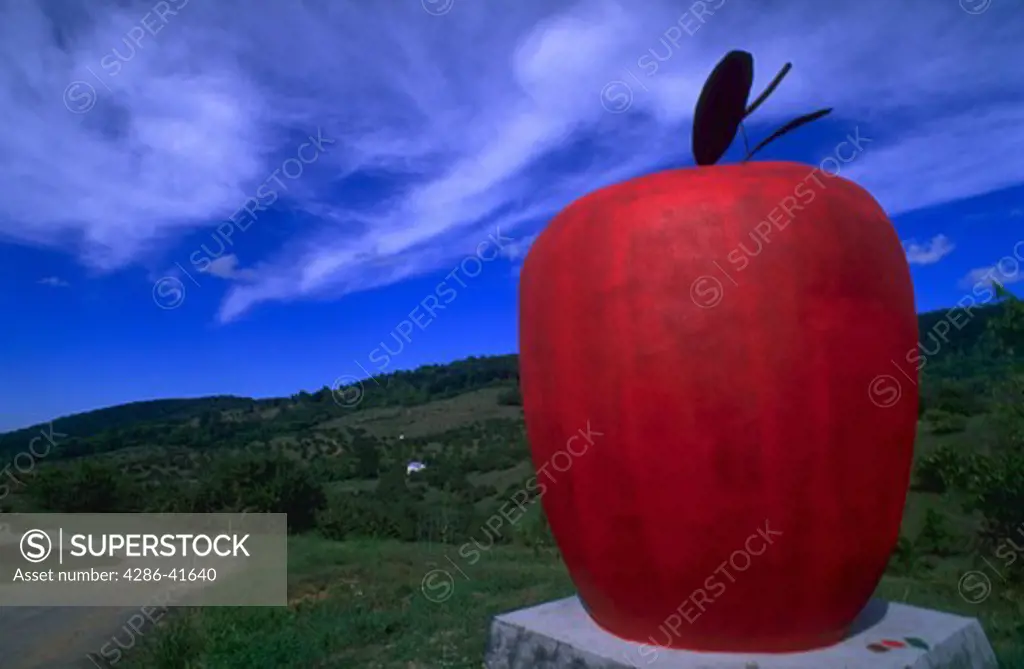 Big red apple on mountain farm with blue sky and clouds, Front Royal, Virginia.