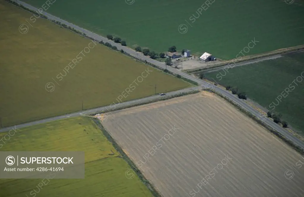 planted fields and crops, CA